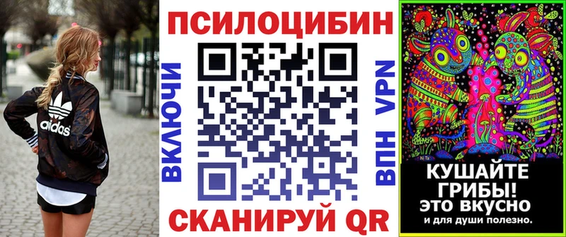 даркнет состав  Обнинск  Галлюциногенные грибы мухоморы  мега ТОР 